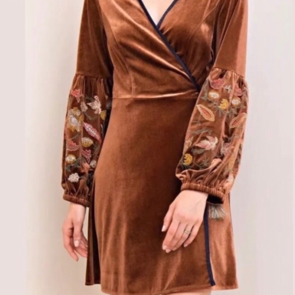 Entro Velvet Embroidered Dress
